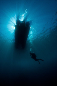 Diver on Deco Stop near Albany Western Australia.  Southe... by Mick Tait 